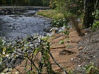 Delaware Water Gap